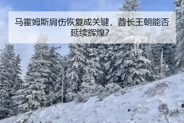 马霍姆斯肩伤恢复成关键，酋长王朝能否延续辉煌？
