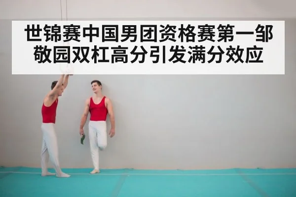 Chinese men's gymnastics team