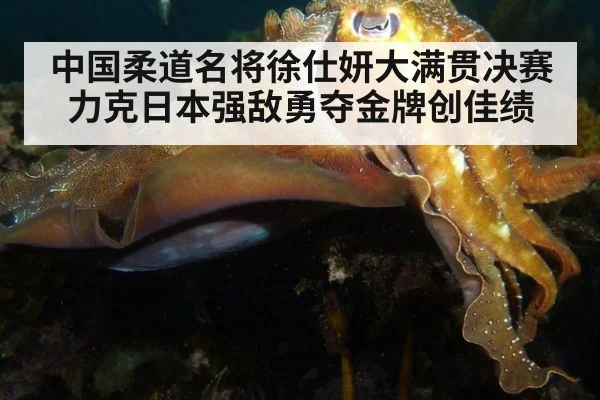 中国柔道名将徐仕妍大满贯决赛力克日本强敌勇夺金牌创佳绩