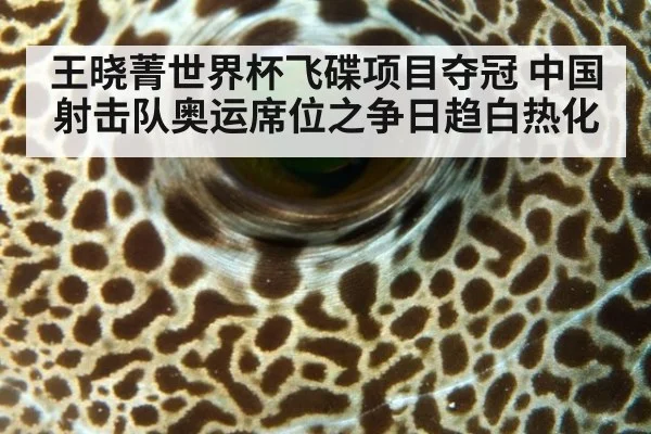 王晓菁世界杯飞碟项目夺冠 中国射击队奥运席位之争日趋白热化